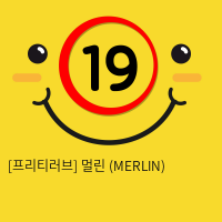 멀린 (MERLIN)